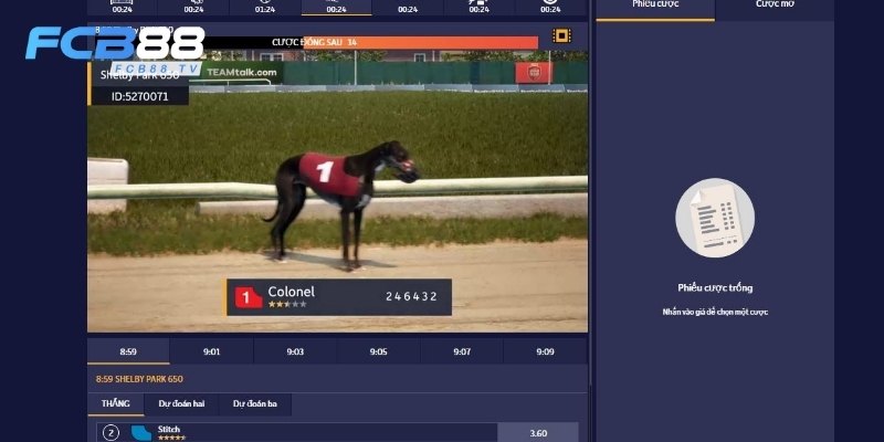 Cá cược thể thao ảo mới lạ và đầy hấp dẫn